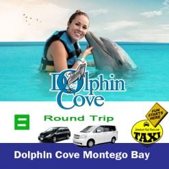 dolphin cove montego bay taxi