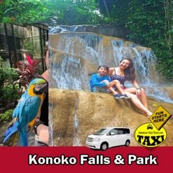 konoko falls and park